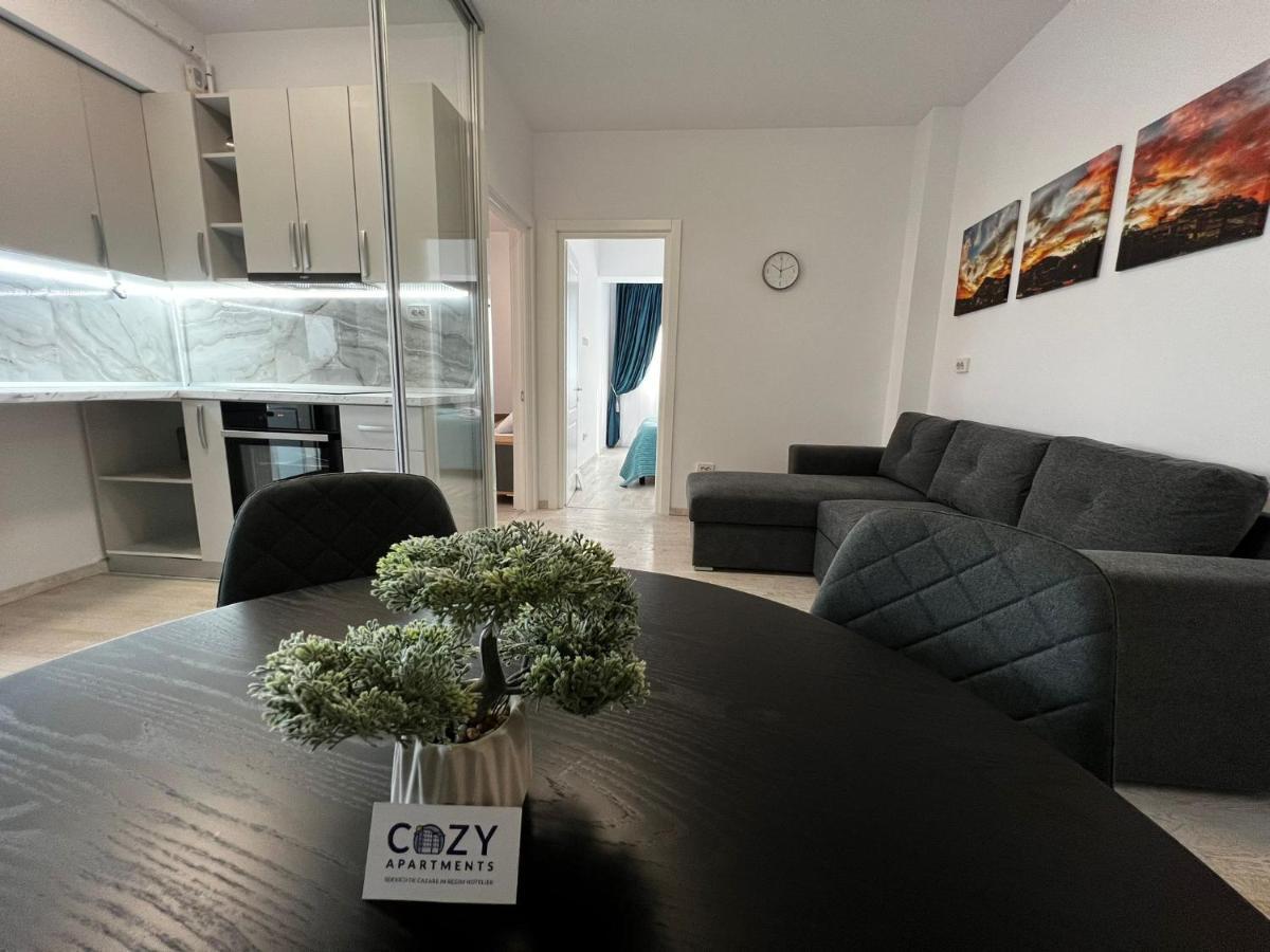 Apartment Cozy - Center Iasi